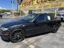 2005 /Black BMW 3-Series 325Ci convertible (WBABW33495P) with an 2.5L L6 DOHC 24V engine, Automatic transmission, located at 801 South State Street, Salt Lake City, UT, 84111, (801) 328-0098, 40.751953, -111.888206 - Features: Alloy Wheels, Leather Seats, Front Seat Heaters, Memory Seat(s), Harman Kardon Sound, Soft Top, ABS Brakes, CD Audio, Power Seat(s), Traction Control, AM/FM Stereo, Cruise Control, Power Windows, Air Conditioning, Power Locks, Rear Defroster, Automatic Transmission, Power Mirrors, Side Air - Photo#11